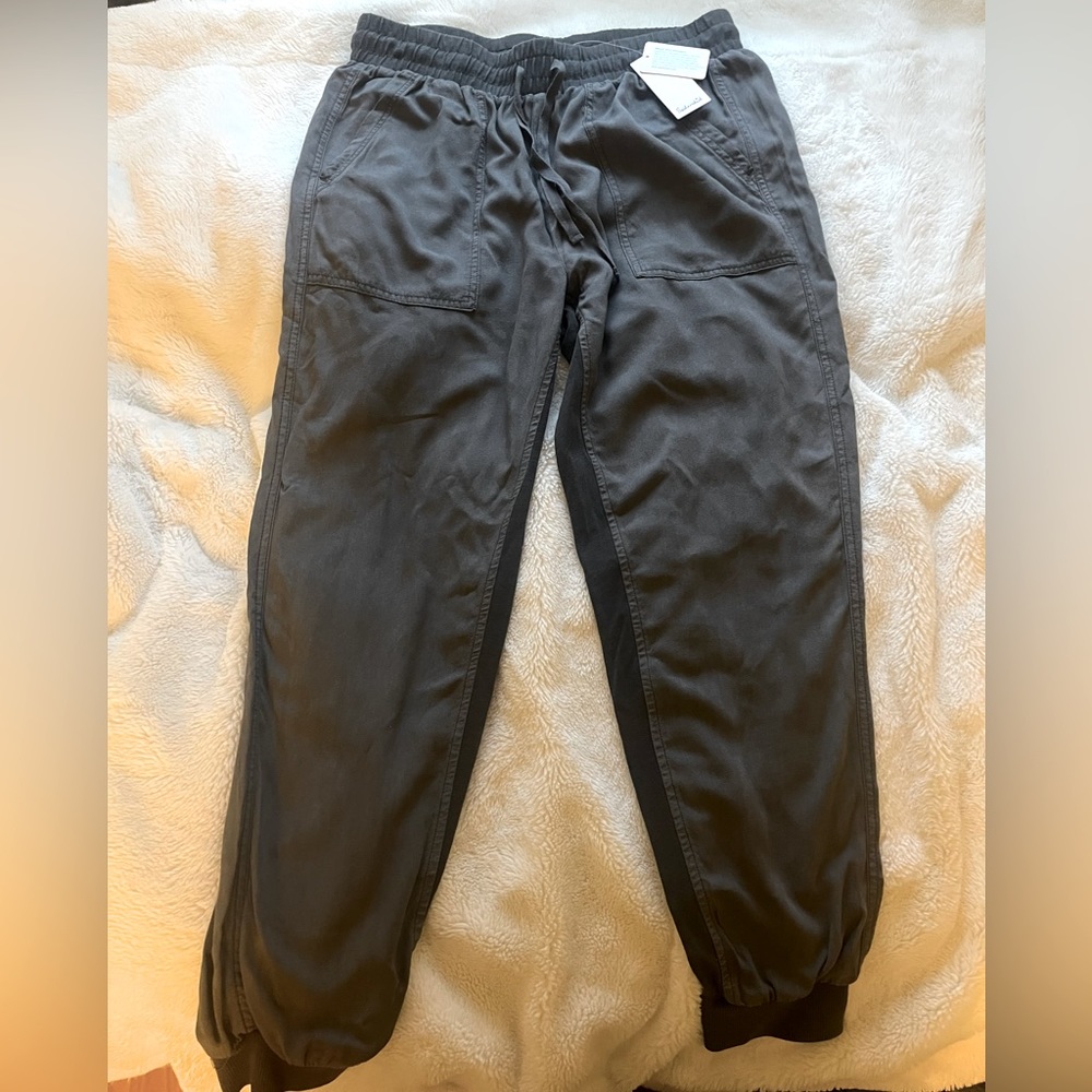NWT Splendid Gray Joggers